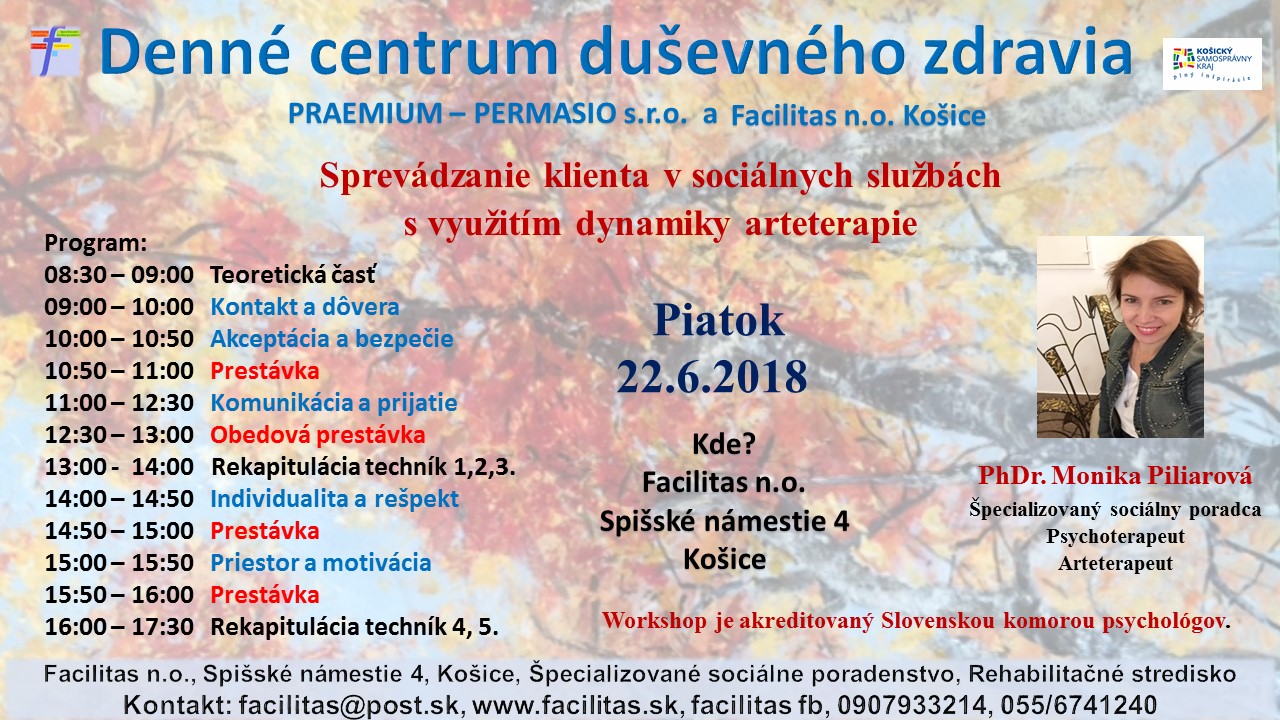 Sprevdzanie klienta v socilnych slubch s vyuitm dynamiky arteterapie