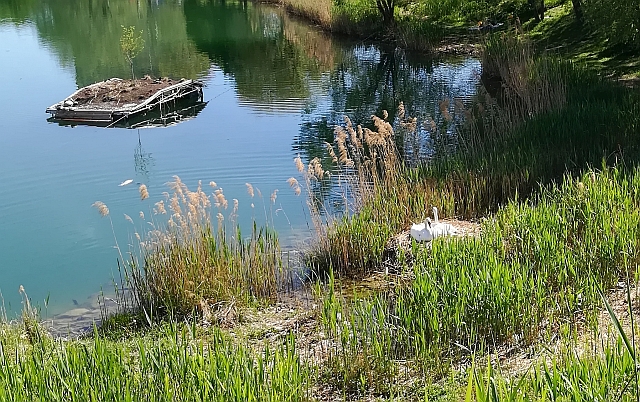 Partnersk komunikcia